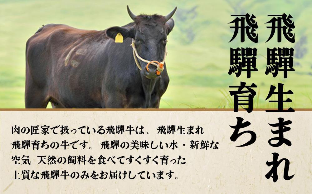 【4月開始】飛騨牛づくし 定期便 3ヶ月 ( 焼肉 / すき焼き / ステーキ ) 全3回  | 肉 しゃぶしゃぶ 食べ比べ 牛 定期 おすすめ 人気 飛騨高山 ブランド牛 ふるさと納税定期便 肉の匠家 BV100VC04