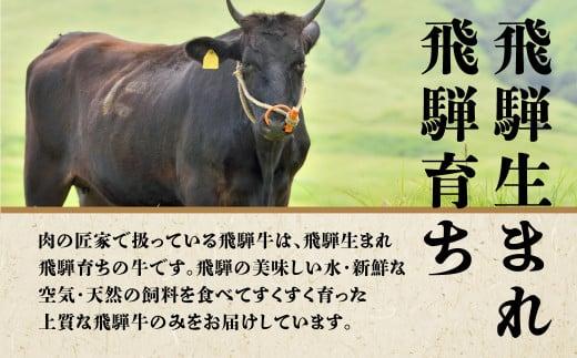 肉の匠家 飛騨牛 定期便 3カ月 ( ステーキ すき焼き 焼肉 ) ヒレ ヒレステーキ 肉の匠家 BV101