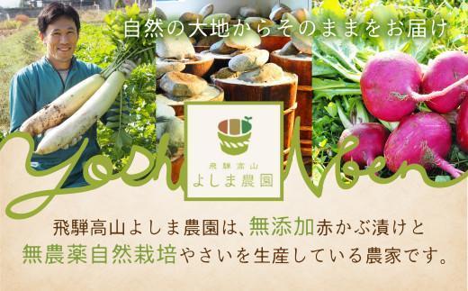 【12月配送（年内お届け）】自然栽培調味料シリーズ 年内発送 バジル 塩にんにく 青じそ ペースト 塩 飛騨高山よしま農園 CK011VC12