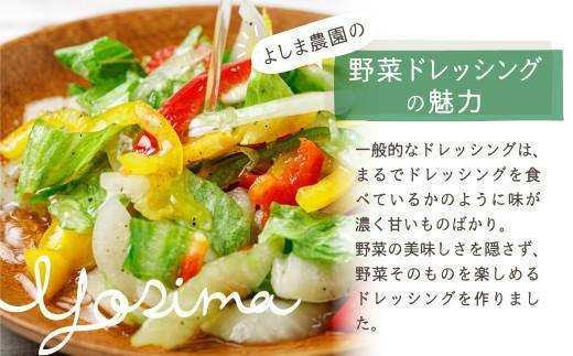 自然栽培農家のドレッシング3種 | 自家栽培農家 ドレッシング サラダ 自家栽培 洋風ドレッシング 玉ねぎドレッシング 大根おろしドレッシング 梅ドレッシング 飛騨高山 よしま農園 CK015VC13