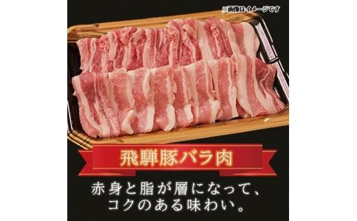 飛騨牛 & 飛騨豚 焼肉セット 合計1kg  ( 飛騨牛カルビ 300g ・ 豚ロース 300g ・ 豚バラ 400g ) ファミリーストアさとう CY030VC13