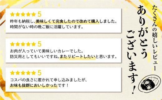 【3ヶ月以内発送】飛騨牛カレー (25袋) | 訳あり 飛騨牛 肉 牛 カレー ビーフカレー 簡易包装 レトルトカレー 人気 おすすめ おいしい 便利 飛騨高山 ふるさと清見 DC008VC13