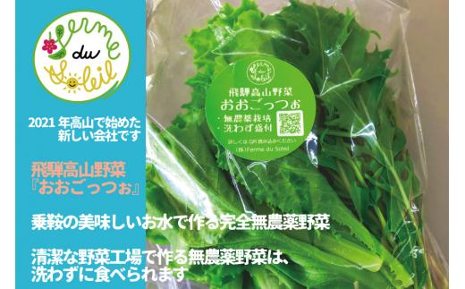 飛騨の新鮮モッツァレラ＆フレッシュ野菜 お届けセット モッツァレラチーズ チーズ ミックスリーフ 無農薬野菜 無農薬 飛騨高山 牧成舎 DF001