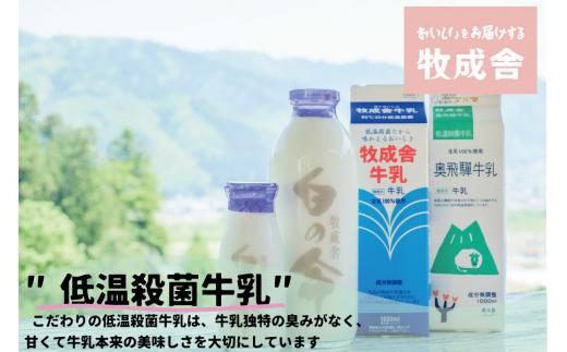 飛騨の牛乳屋 牧成舎 ミルクの旨味たっぷり 業務用 １L アイスクリーム 3種 合計3Ｌ アイス 冷菓 お菓子 おかし おやつ 乳製品 ギフト プレゼント バレンタイン ホワイトデー 母の日 牧成舎 DF007