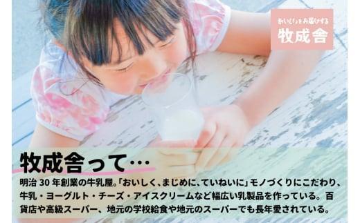 【12月配送】＜牧成舎＞飛騨の牛乳屋が作る、ミルクの旨味たっぷり 手焼ミニ最中アイスクリーム （10個セット）  | 年内発送 デザート 牧場 アイス 人気 おいしい 牛乳 ギフト プレゼント DF020VC12