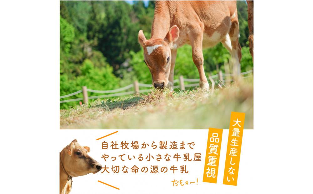 ＜牧成舎＞飛騨の牛乳屋さんが作った こだわりの乳製品お試しセット（牛乳1L×1本・のむヨーグルト750ml×1本・モッツァレラチーズ100g×1個）| 低温殺菌 無添加 牛乳 ヨーグルト チーズ 乳製品 おいしい セット 飛騨高山 (有)牧成舎 DF042