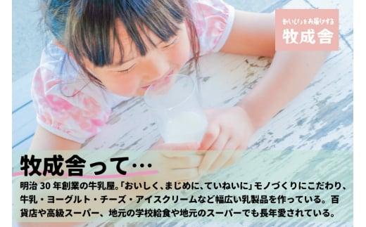 【定期便3か月】飛騨産生乳100％！美味しい低温殺菌牛乳6本×3回 毎月1回お届け 乳製品 牛乳 牧成舎 DF105