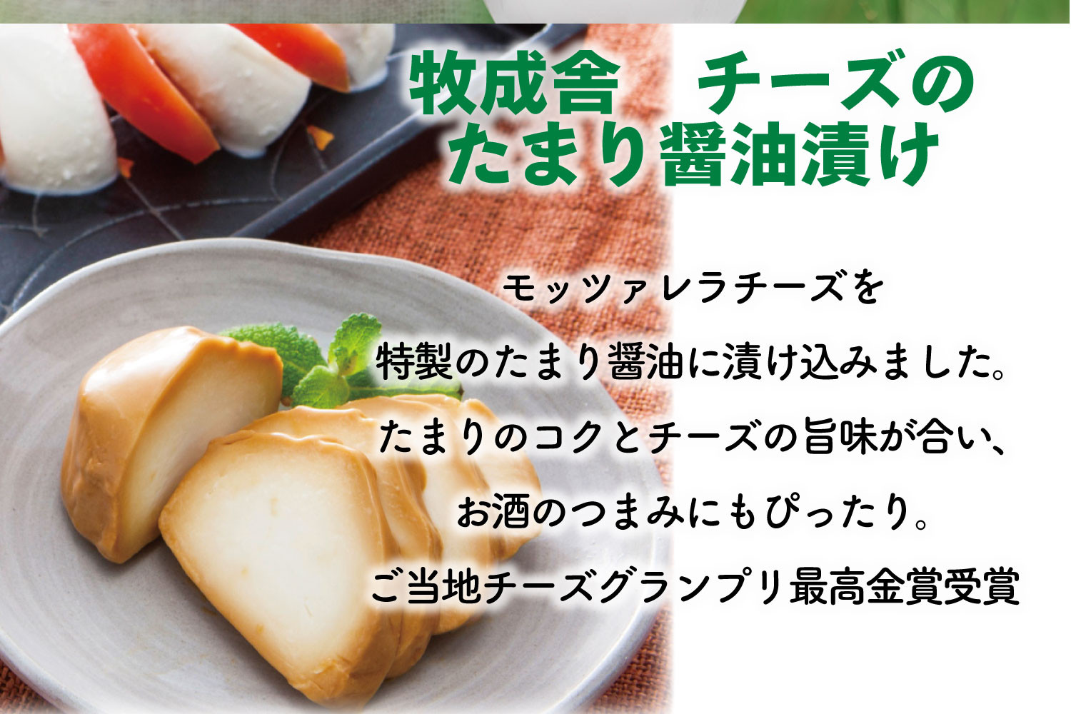 6か月定期便【飛騨乳製品バラエティセット】牛乳・ヨーグルト・チーズ詰め合わせ　11点セット｜乳製品 習慣 詰合せ 家族 朝食  牧成舎 牧成舎 DF245