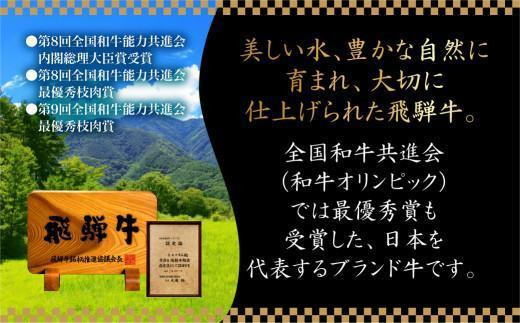 【7月発送】5等級 飛騨牛 焼肉 (もも、バラ) 盛り合わせ 400ｇ 食べ比べ 詰め合わせ  人気 おすすめ BBQ バーベキュー キャンプ お取り寄せ グルメ 焼肉セット 飛騨高山 ながせ食品 FH012VC07