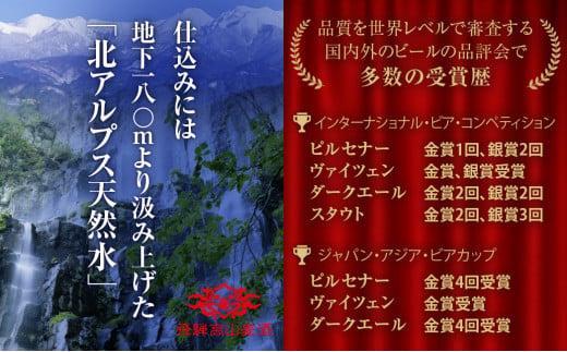 飛騨高山麦酒 全瓶20本セット クラフトビール 地ビール 飛騨高山 プレミアム 家飲み おうち時間 ピルスナー ペールエール ヴァイツェン ダークエール スタウト カルミナ  セット 贈答用 詰め合わせ FS049