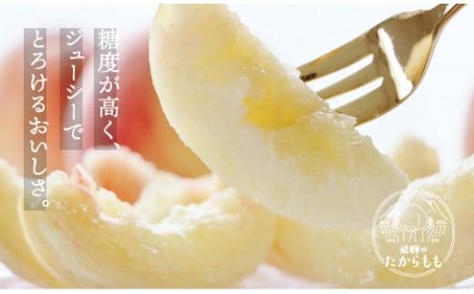 【2026年発送・先行受付】飛騨のたからもも 糖度11度以上（4-8玉）※7月中旬～順次お届け | 桃 朝採れ 白桃 もも フルーツ ギフト 果物 人気 おまかせ 飛騨桃 飛騨高山 つむぎ果樹園 GH006