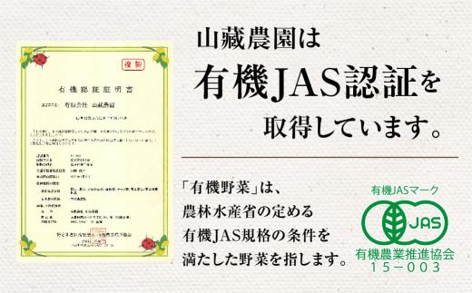 【2026年夏 先行予約】（8月上旬から順次発送予定）飛騨高山産 有機トマト「王様トマト」4kg | 大玉トマト とまと 麗月 れおん 野菜 樹熟 飛騨高山 山藏農園 JC012