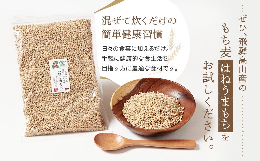 飛騨高山で有機栽培した「もち麦」はねうまもち 1kg | もち麦 雑穀 米 有機栽培 オーガニック 健康 おいしい 飛騨高山 有限会社山藏農園 JC016