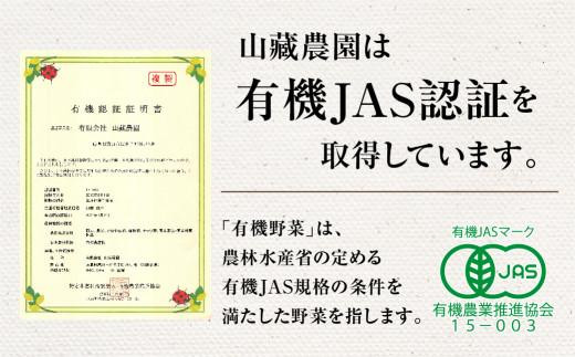 贈り物にも！夏秋の旬を詰めた飛騨高山の有機栽培お野菜ギフト｜夏野菜 秋野菜 新鮮  有機野菜 旬野菜 地元野菜 やさい 農園 高山市 山藏農園 JC023