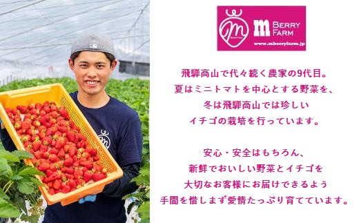 【いちご15粒】朝摘み! 濃厚紅ほっぺ 約350g×1パック（数量限定／先行予約／1月〜4月発送）| いちご フルーツ 甘い おいしい ハウス栽培 飛騨高山 m BerryFarm KL004