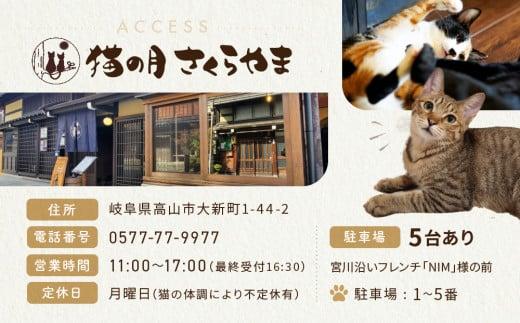 猫の月さくらやまご招待券1名様分（猫カフェ60分無料＋ワンドリンク付き）　ネコカフェ チケット 猫 ねこ ドリンク付き 古民家カフェ 保護猫 猫の月 さくらやま LM005