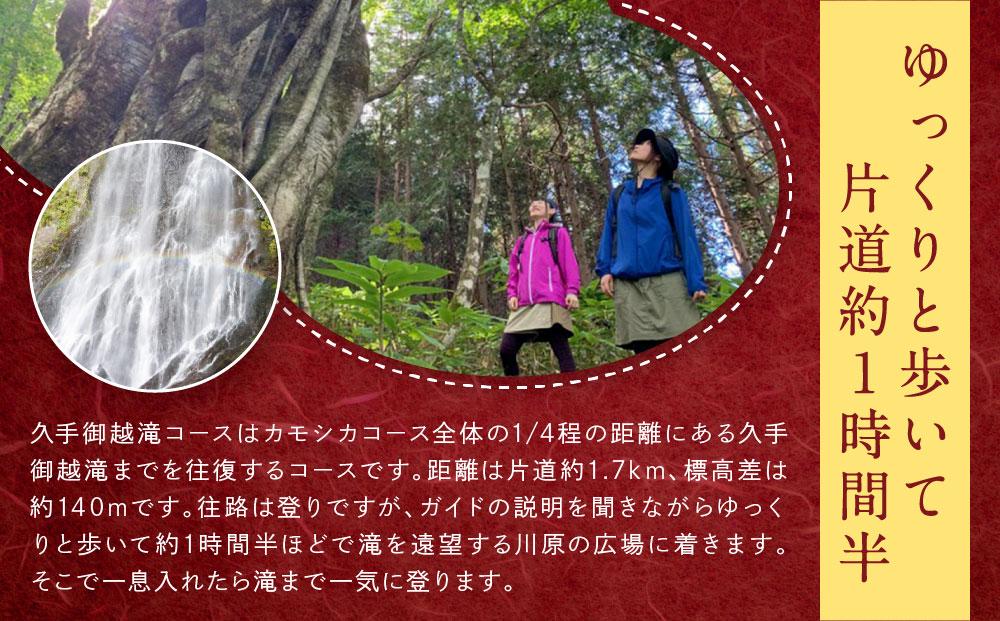 平湯温泉【匠の宿 深山桜庵】1泊2日 ＆ 五色ヶ原の森トレッキング（久手御越滝コース）＋送迎付き【期間限定：2025年/2026年6月～10月】| 温泉 奥飛騨 トレッキング 飛騨高山 高山エース旅行センターLQ011