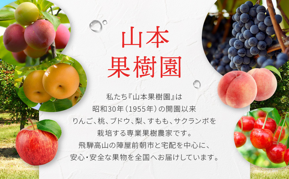 すりおろしりんごジュース 180ml×30本　|すりおろし果汁 リンゴ 林檎 果樹園 飛騨高山　山本果樹園 MA016