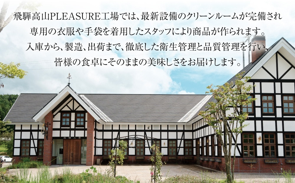 【2026年1月1日～3日配送】【冷凍】飛騨牛 霜降りスライス（すき焼き/しゃぶしゃぶ）500g 真空パック  MZ032VC01