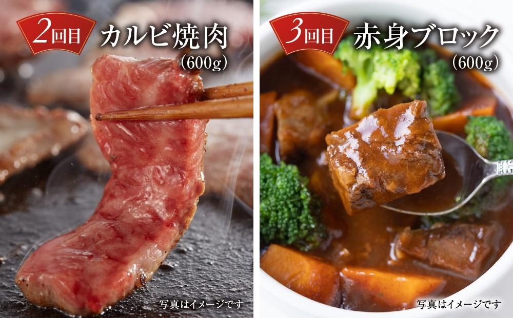 【定期便】飛騨牛（全３回）（ステーキ /焼肉 / ブロック[塊] ) 計1.6kg 全3回  | 焼肉 ステーキ カルビ  牛肉 定期 【飛騨高山ミート MZ101】