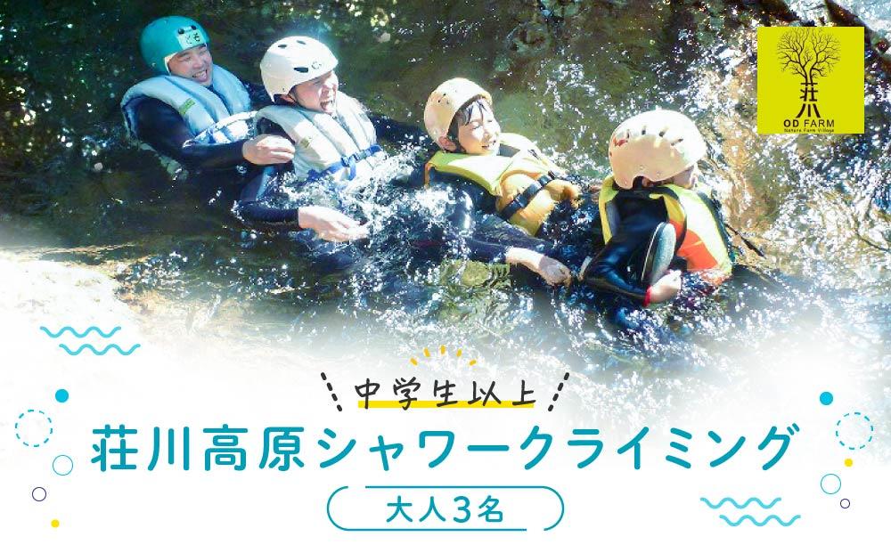 OD-FARM荘川【中学生以上】荘川高原ファミリーシャワークライミング 大人3名 | 川 滝 遊び 体験 夏 思い出 子供 親子 家族 飛騨高山 (株)アウトドアサポートシステム AB001
