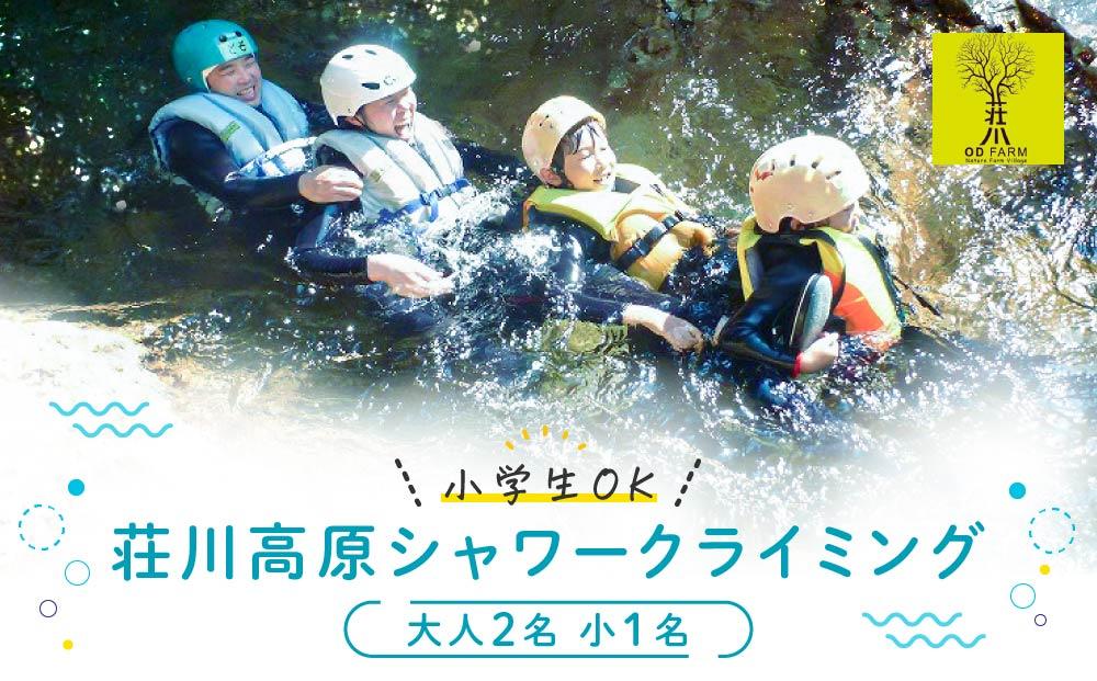 OD-FARM荘川【小学生OK】荘川高原ファミリーシャワークライミング 大人2名、小人1名  | 川 滝 遊び 体験 夏 思い出 子供 親子 家族 飛騨高山 (株)アウトドアサポートシステム  AB002