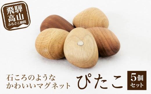 ぴたこ5個セット | マグネット 木製  冷蔵庫  プレゼント 雉子舎 AP011