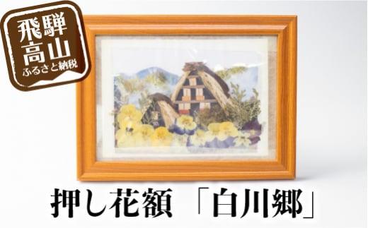 【数量限定】押し花額 飛騨の風景【白川郷】 押し花 花 フラワー    飾り  BB006