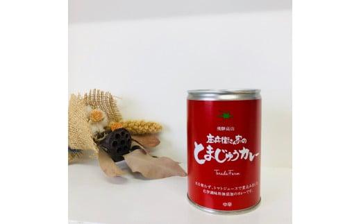 庄兵衛さん家のとまじゅうカレーセット トマトカレー 飛騨高山 飛騨トマト BN010