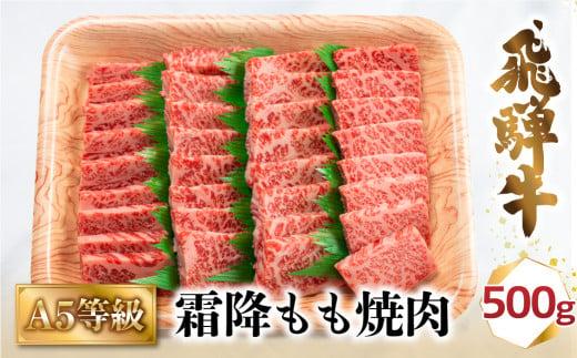 A5 飛騨牛 霜降もも 焼肉 500g | 冷凍 化粧箱入 和牛 国産 肉 国産牛 飛騨高山 肉の匠家 BV012