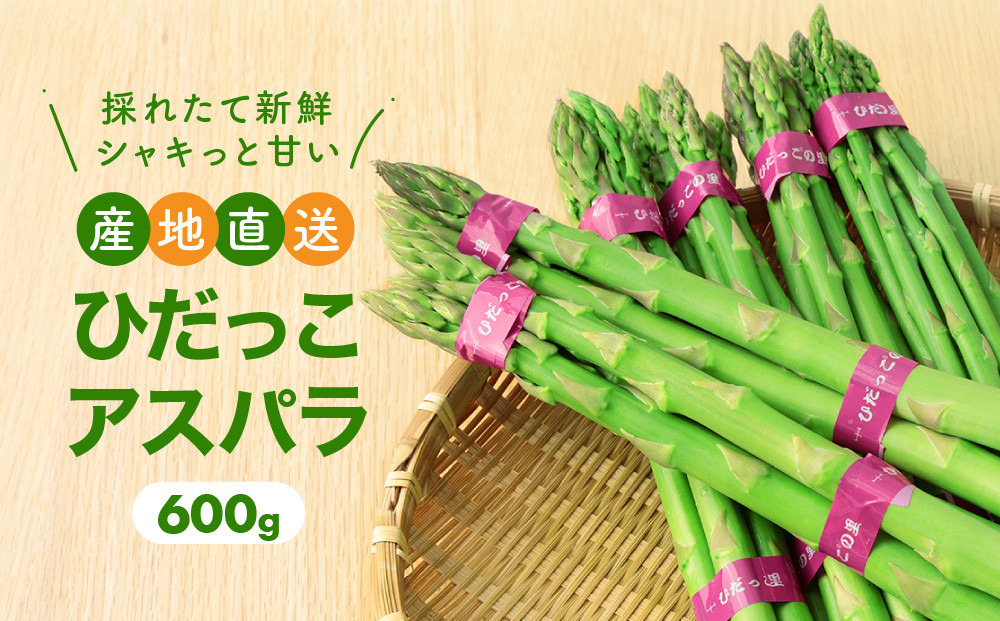 【2026年発送・先行受付】ひだっこアスパラ 600g | アスパラ アスパラガス 飛騨産 野菜 春  夏野菜  産地直送 新鮮 食品 おいしい 人気 CM001VC01