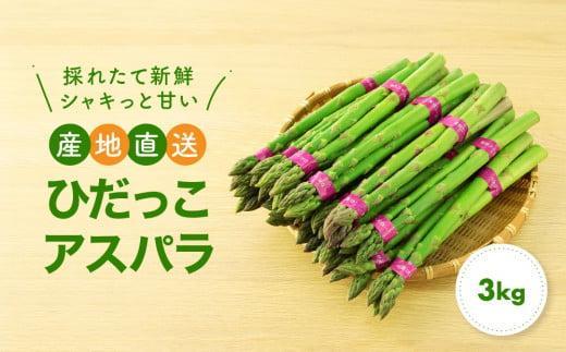 【2026年発送・先行受付】ひだっこアスパラ 3.0kg  | アスパラ アスパラガス 飛騨産 野菜 春 夏野菜 産地直送 新鮮 食品 おいしい 人気 ひだっこの里 CM005VC01