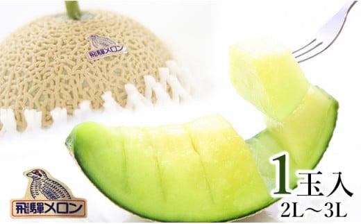 【数量限定】飛騨メロン 1玉 2L～3Lサイズ (約1.5kg)  化粧箱入 21-326 7月中旬まで受付 CY032