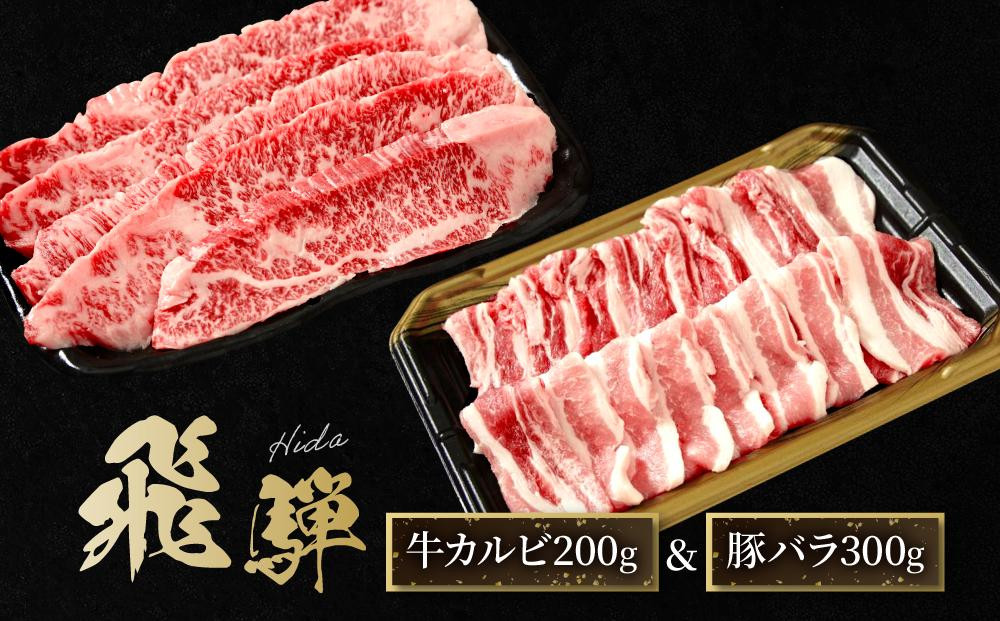 飛騨牛 焼肉 カルビ200g & 飛騨豚 バラ300g ファミリーストアさとう CY043VC13