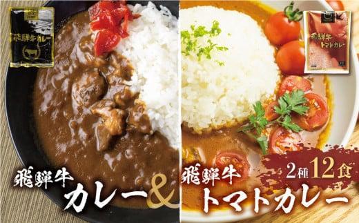 【3ヶ月以内発送】飛騨牛カレー (8袋) 飛騨牛トマトカレー (4袋)  | 訳あり 飛騨牛 肉 牛 カレー ビーフカレー 簡易包装 レトルトカレー トマトカレー 人気 おすすめ おいしい 便利 飛騨高山 ふるさと清見 DC004VC13