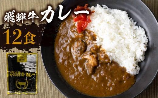 【3ヶ月以内発送】飛騨牛カレー (12袋) | 訳あり 飛騨牛 肉 牛 カレー ビーフカレー 簡易包装 レトルトカレー 人気 おすすめ おいしい 便利 飛騨高山 ふるさと清見 DC006VC13