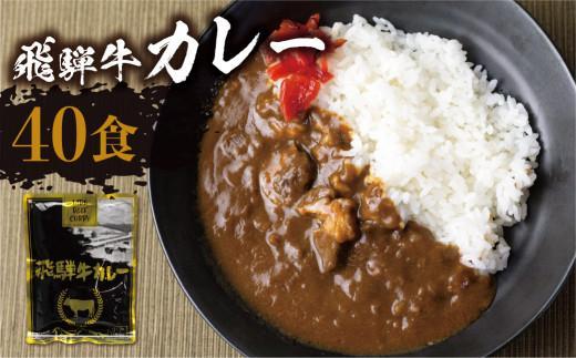 【3ヶ月以内発送】飛騨牛カレー (40袋)  | 訳あり 飛騨牛 肉 牛 カレー ビーフカレー 簡易包装 レトルトカレー 人気 おすすめ おいしい 便利 飛騨高山 ふるさと清見 DC009VC13