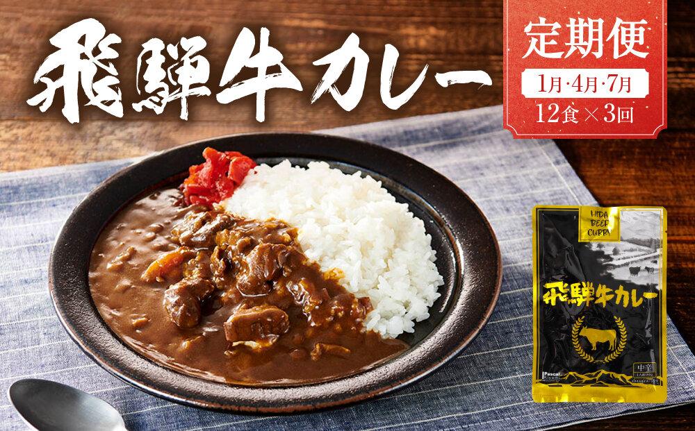 【期間限定】【1月開始】飛騨牛カレー 36袋(12袋x3回)  定期便 3回【1月・4月・7月】 | 訳あり 飛騨牛 肉 牛 カレー ビーフカレー 簡易包装 レトルトカレー ご当地カレー 人気 おすすめ ふるさと清見21 DC103