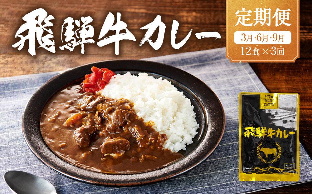 【期間限定】【3月開始】飛騨牛カレー 36袋(12袋x3回) 定期便 3回【3月・6月・9月】| 訳あり 飛騨牛 肉 牛 カレー ビーフカレー 簡易包装 レトルトカレー ご当地カレー 人気 おすすめ ふるさと清見21 DC105