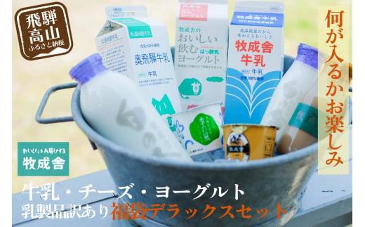 乳製品 福袋 デラックスセット 乳製品 ヨーグルト 牛乳 種類おまかせ セット 詰合せ  牧成舎 DF004