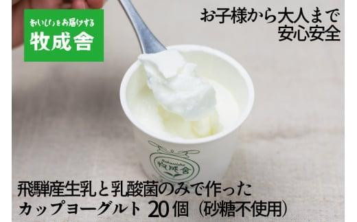 【通常配送】砂糖不使用 プレーンヨーグルト 20個 飛騨の牛乳屋 牧成舎 生乳100％ 朝食におすすめ 無糖ヨーグルト プレーンヨーグルト 砂糖不使用 生乳 ヨーグルト 乳製品 牧成舎 DF006VC13