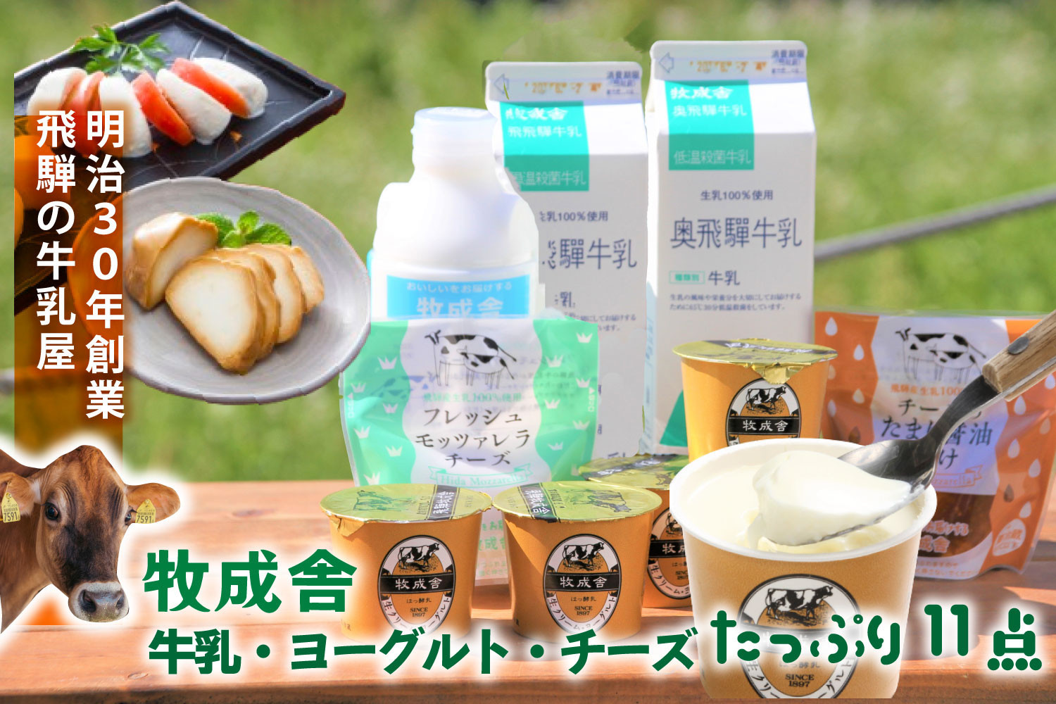 【飛騨乳製品バラエティセット】牛乳・ヨーグルト・チーズ詰め合わせ　11点｜ヨーグルト 乳製品 デザート 朝食 セット 詰合せ 牧成舎 DF010