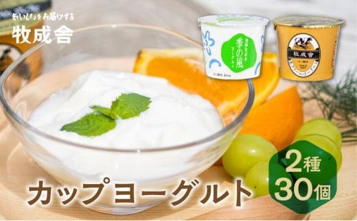 【寄附額見直しました！】＜牧成舎＞ 飛騨の牛乳屋のこだわりヨーグルト (30個セット)  | おいしい ヨーグルト 食品 健康 濃厚 朝食 牧場 飛騨高山 DF012VC13