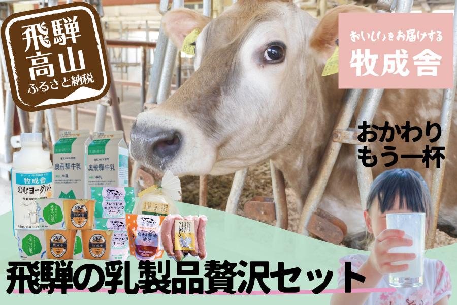 ＜牧成舎＞飛騨の牛乳屋のこだわり乳製品贅沢セット（牛乳・ヨーグルト・チーズ・ソーセージ） DF027