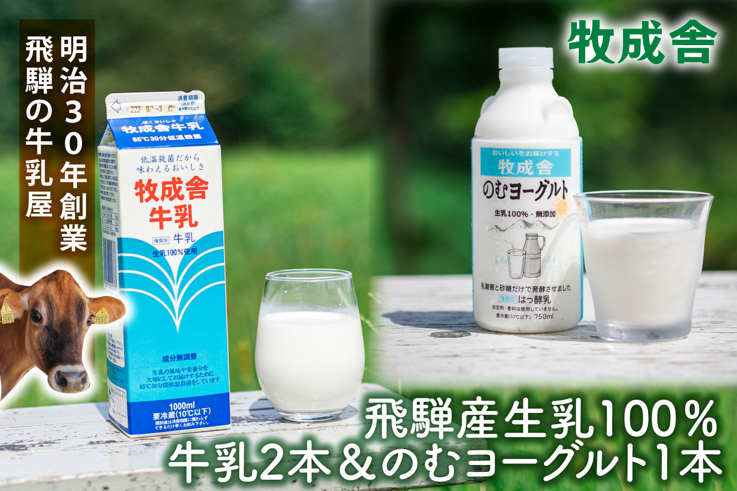 【飛騨産低温殺菌牛乳・飲むヨーグルトセット】牧成舎牛乳1000ml×2本／のむヨーグルト750ml×1本｜食品添加物不使用・濃厚・お取り寄せ・子どもにも｜ (有)牧成舎 DF044