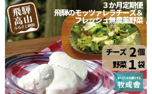 ＜牧成舎定期便 3カ月＞飛騨の新鮮モッツァレラ＆フレッシュ野菜 セット 3回お届け モッツァレラチーズ 野菜 チーズ ミックスリーフ 無農薬野菜 無農薬飛騨高山 牧成舎 DF100