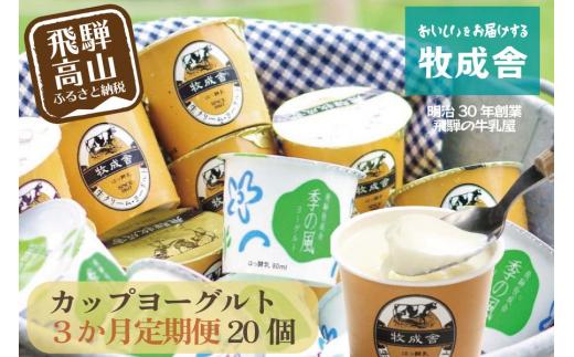 【定期便3か月】飛騨のカップヨーグルト20個セット 毎月1回お届け 乳製品 ヨーグルト2種類 セット 詰合せ 牧成舎 DF108