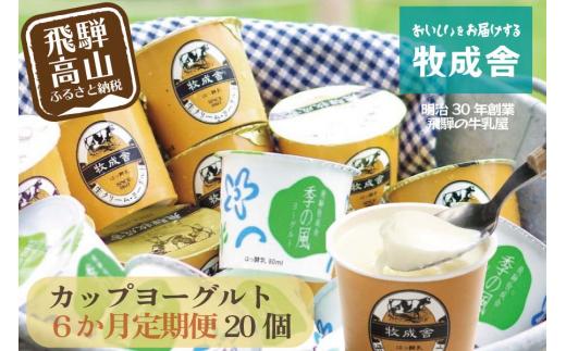 【定期便６か月】飛騨のカップヨーグルト20個セット 毎月1回お届け 乳製品 ヨーグルト2種類 セット 詰合せ 牧成舎 DF109