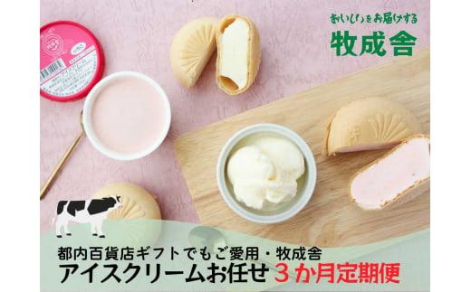 【3ヶ月定期便】飛騨の牛乳屋 牧成舎 お任せアイスクリームセット アイス カップアイス 最中アイス 1Lアイス どれが届くか お菓子 おかし  おやつ  乳製品 毎月届く 定期便 DF112