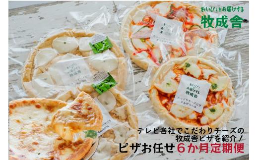 【6カ月定期便】飛騨の牛乳屋 牧成舎 お任せチーズたっぷりピザセット ピッツァ 種類お任せ マルゲリータ 洋風トマト 和風山椒 お任せ 定期便 モッツアレラチーズ 乳製品 DF115